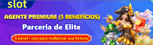 Interface Premium casinovip
